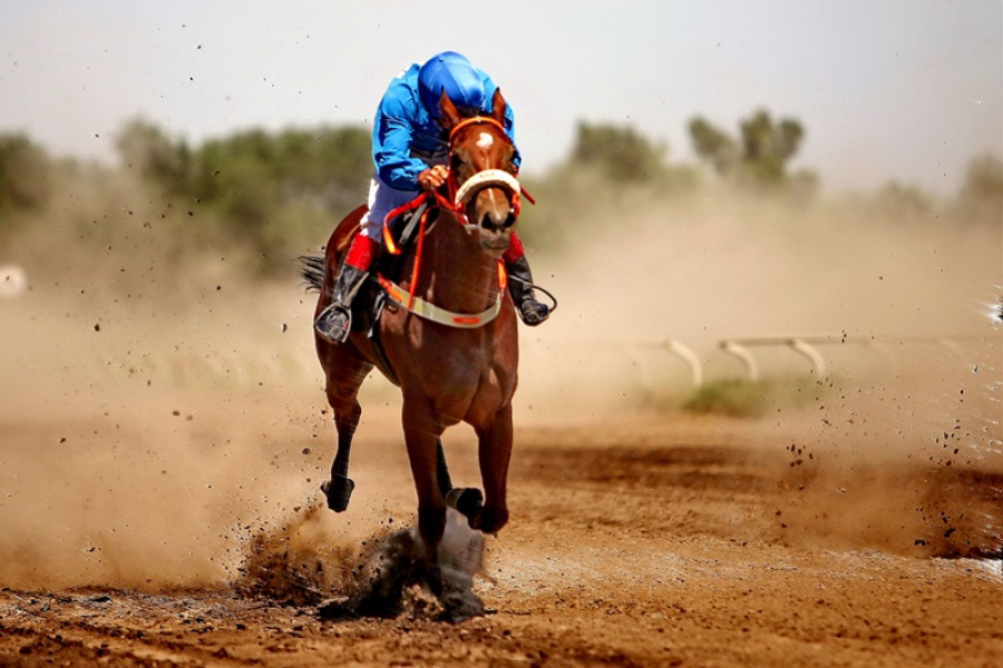 Виды соревнований на ВИК 2024. Бәйге – конные скачки казахского народа