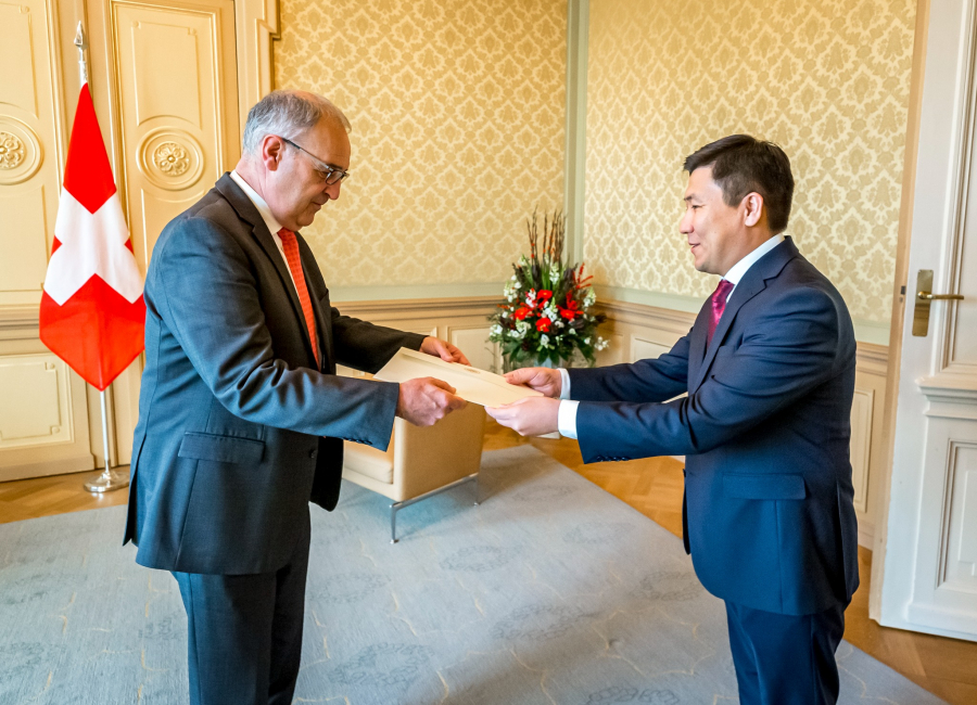 Алмазбек Бейшеналиев вручил президенту Швейцарии верительные грамоты