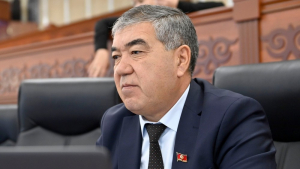 Депутату ЖК стало стыдно за артиста, который вышел на сцену с дулькой на голове (видео)