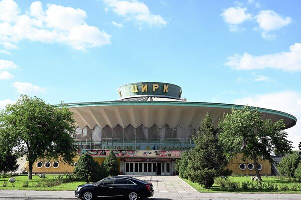 Госцирк продает яков, енота и дикобраза с верблюдами