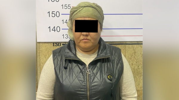 Женщина в Бишкеке обещала землю, но ее задержала милиция
