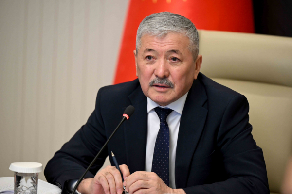 Kirgiška vlada pospešuje zagon posebnega režima in centra za spore v investicijski coni "Tamči"