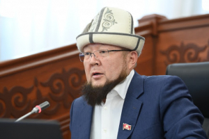 Депутат ЖК: Возле Чон-Алайского района таджики роют окопы. Местные жители обеспокоены