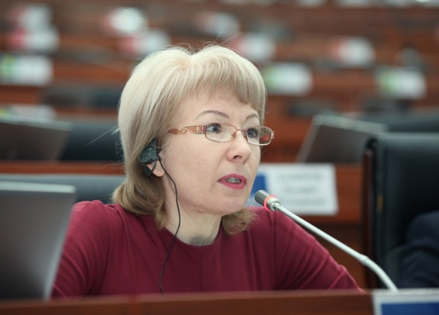 Евгения Строкова: Если не найду деньги на агитацию, то откажусь от участия в выборах