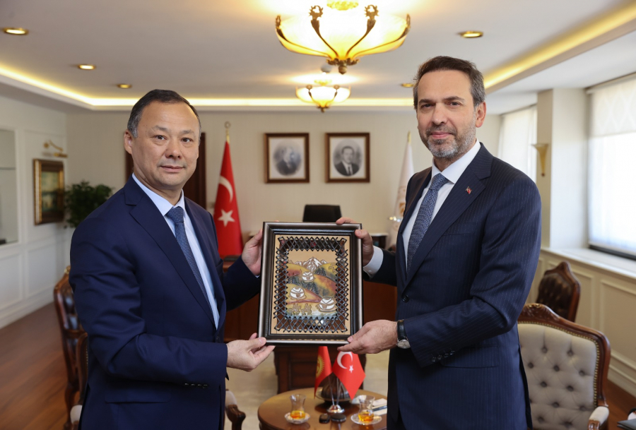 Посол Руслан Казакбаев встретился с министром энергетики и природных ресурсов Турции Алпарсланом Байрактаром