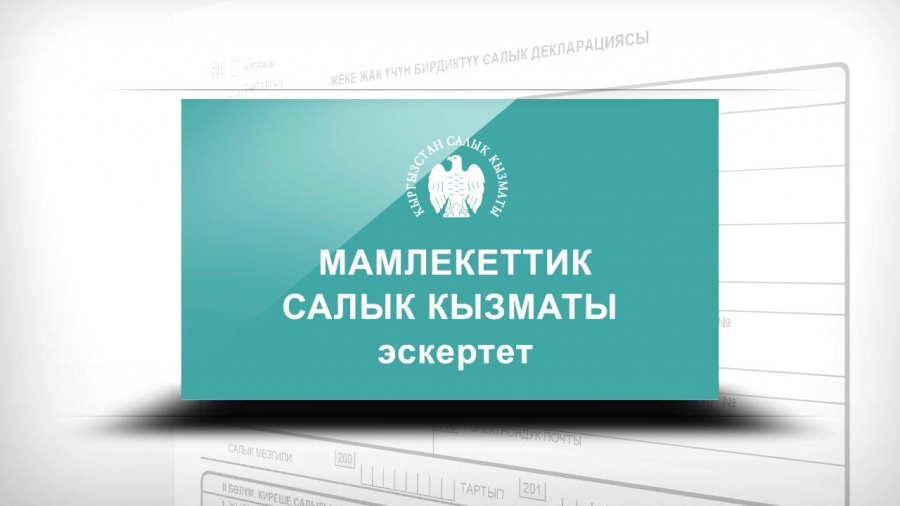 Е салык. Салык. Налоговая кр логотип. Налоговая служба Кыргызской Республики. Логотип налоговой службы Кыргызстана.