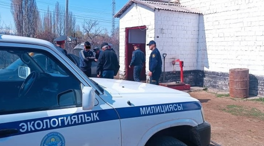 В Джети-Огузском районе убойный цех работал с нарушениями (фото)