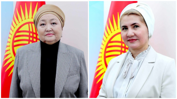 Двух кандидаток в депутаты ЖК привлекут к уголовной ответственности