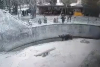 Узбекистанка, которая 3,5 года назад бросила дочь в вольер с медведем, зарезала ее