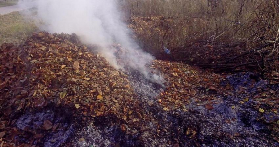Жителей Бишкека призвали не жечь опавшие листья