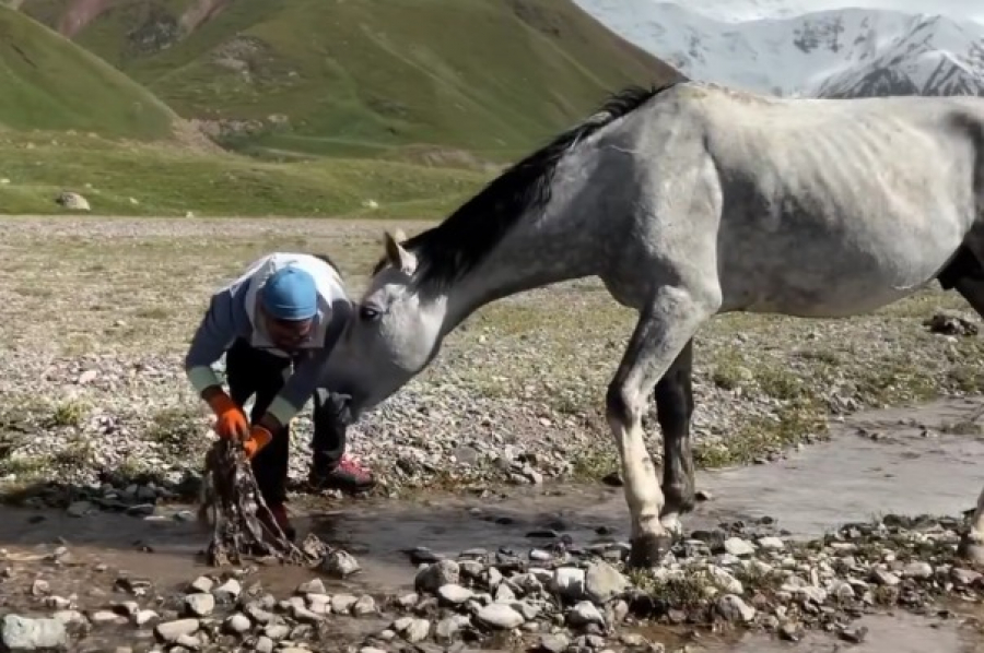 Команда Федерации альпинизма КР убирает мусор на пути к пику Ленина - видео