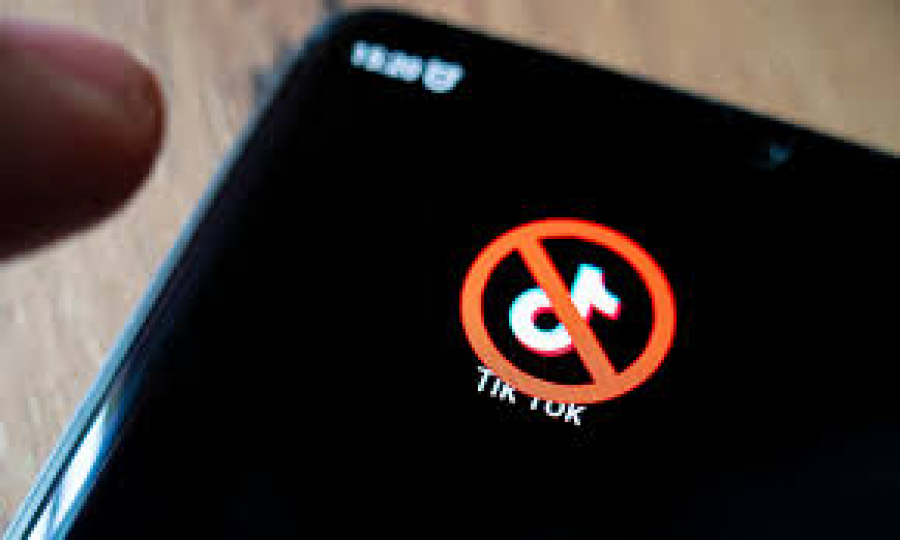 RSF обеспокоена блокировкой соцсети TikTok в Кыргызстане