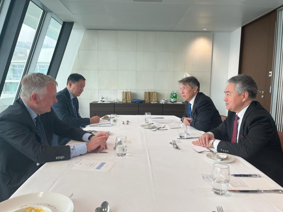 Глава МИД Жээнбек Кулубаев провел переговоры со старшим вице-президентом Nestle Питером Свенссоном