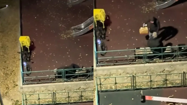 Казахстанка заказала еду на скамейку спящему курьеру