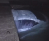В селе Сосновка милиционеры спасли отца с ребенком из тонущего авто (видео)