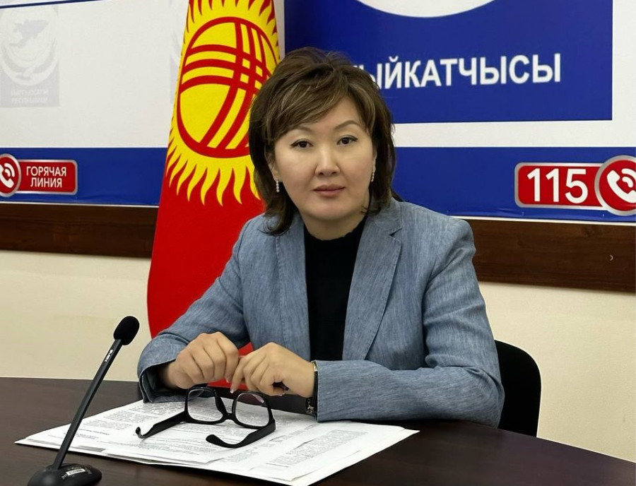 Акыйкатчы Джамиля Джаманбаева предлагает инициаторам отозвать законопроект о НКО