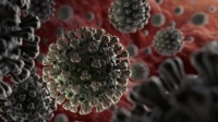 Неизвестно, вырабатывается ли иммунитет у переболевших коронавирусом