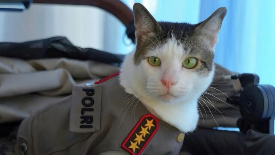 Maček predsednika Indonezije dobil osebno državno stražo