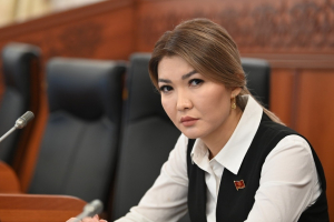 Айгул Айдарова: Пока ничего конкретного не могу сказать по законопроекту о НКО