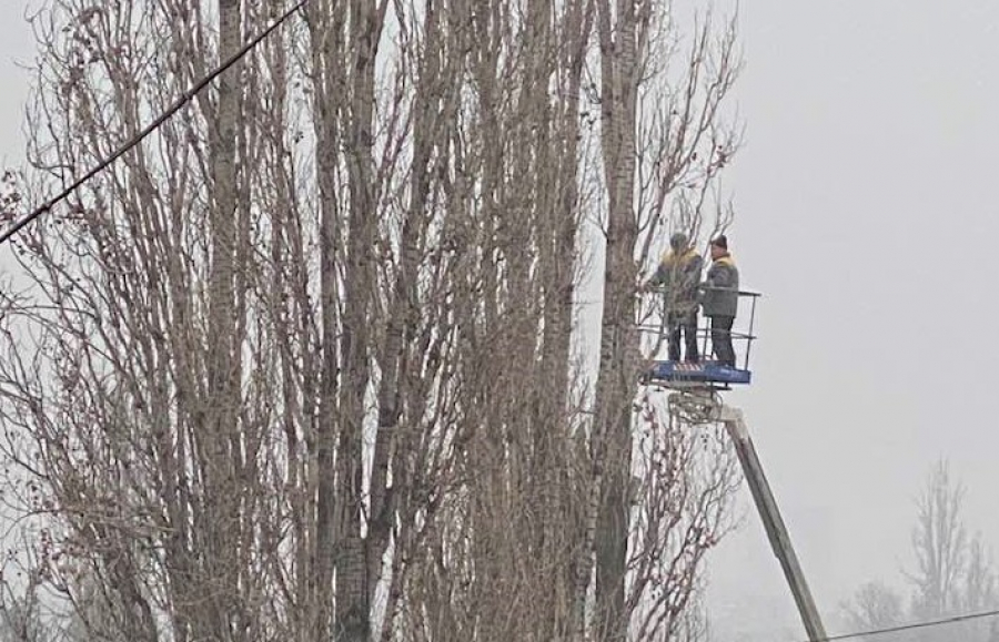 Представители мэрии Бишкека причислили активистку к «вонючкам»