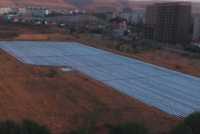 Все в порядке, клубнику в Ботсаду выращивают в научных целях, ответили депутату в Национальной академии наук