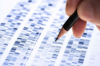 Кыргызстанцы могут проводить тест на отцовство в лаборатории ГКНБ