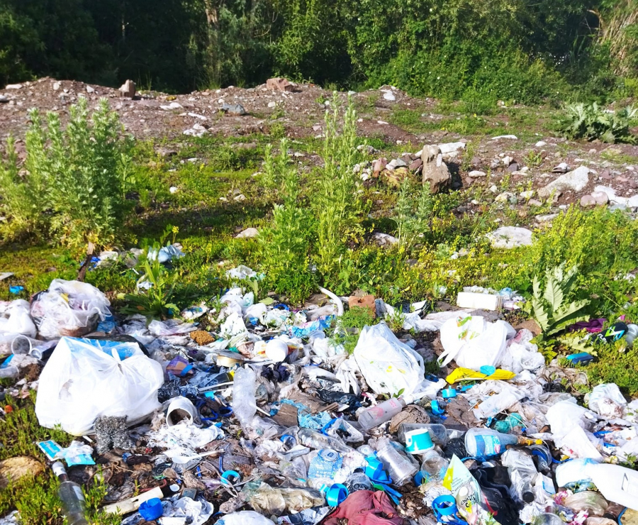 Чиновники отчитались, но мусорная свалка в парке «Ала-Арча» осталась