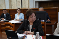 Депутат предложила отдельно выделить 500 грантов для детей матерей-героинь