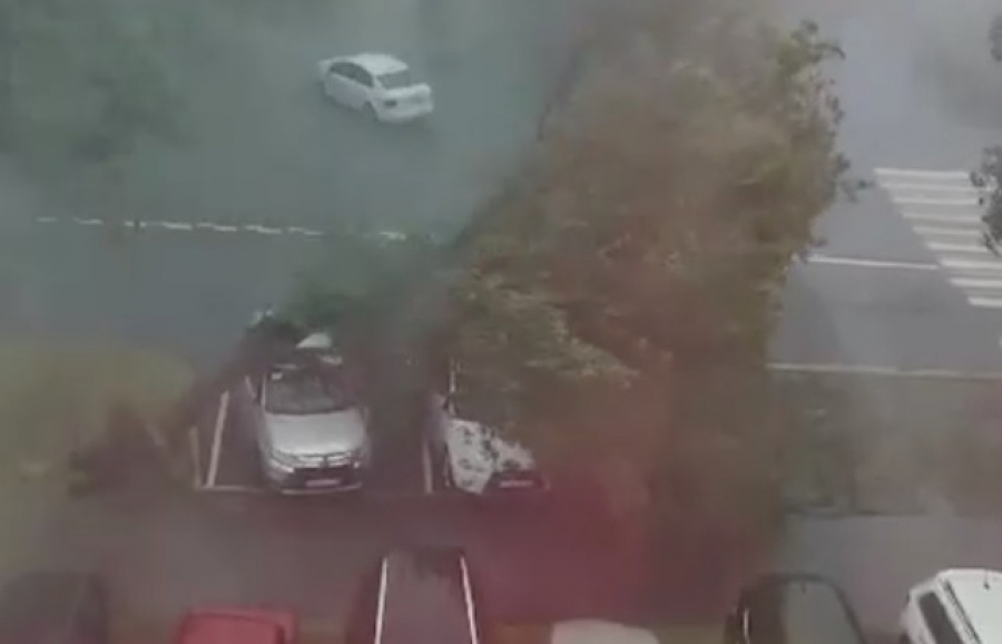 Два человека погибли во время мощного урагана в Москве - видео