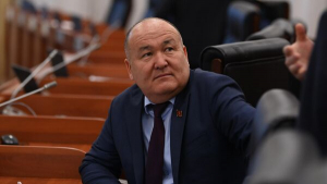 Депутат заместителю главы МВД: С ОПГ вы справиться не можете. Но зато ущемляете права простых граждан