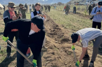 Тополя и сливы: в природном парке «Чоң-Кемин» высадили более 5 тыс. саженцев