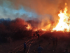 В Манасском районе сгорело почти 30 гектаров леса (фото)
