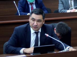 Данияр Амангельдиев: В ближайшее время за товары и продукты из России будем рассчитываться в рублях