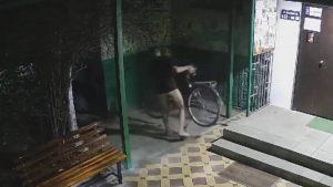 В Бишкеке на улице Кольбаева мужчина без трусов украл велосипед - видео