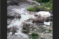 Нечистоты из канализации частного жилкомплекса затопили улицу в Бишкеке (видео)