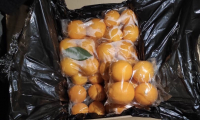 Пограничники задержали контрабанду лимона на 1,7 млн сомов