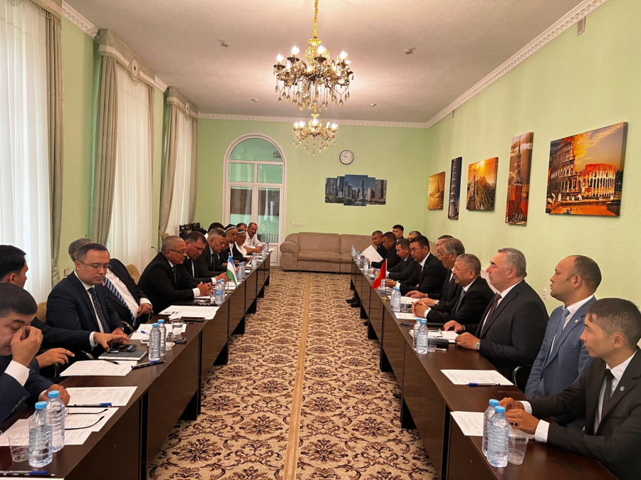 Рабочие группы Кыргызстана и Узбекистана провели встречу по вопросам госграницы