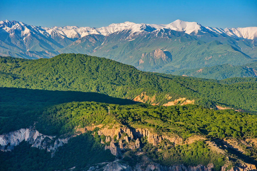 В скором времени Кыргызстан рискует остаться без ореховых лесов и тянь-шанской ели