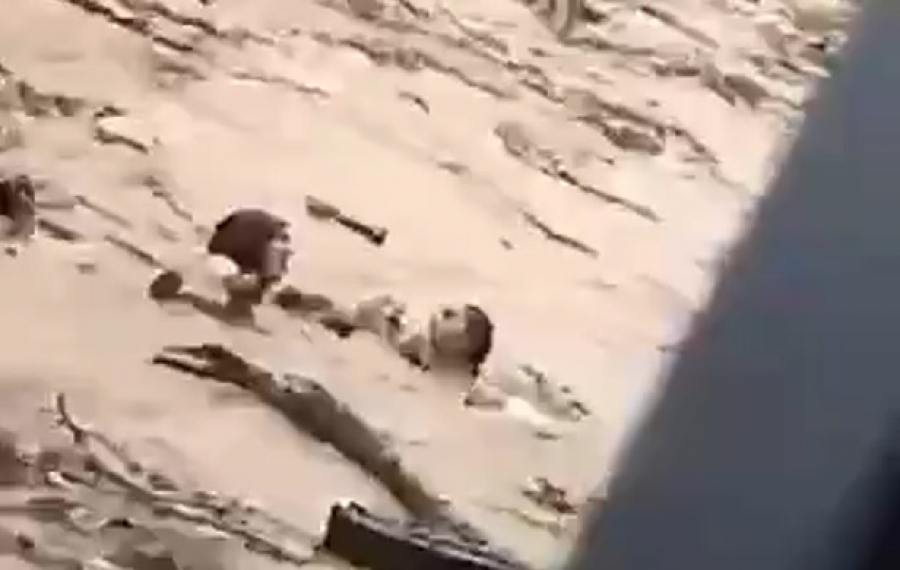 Появилось видео, как сель уносит двух женщин в Оше