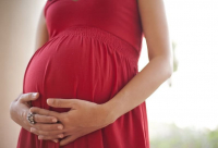 Кто может получить пособие по беременности и родам: разъяснение Минтруда