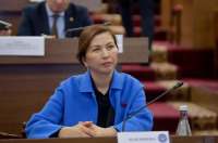 Депутат Жогорку Кенеша выступила против экспорта угля