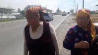 Кыргызстанки, обратившиеся к Владимиру Путину, решили дойти пешком до Бишкека (Видео)