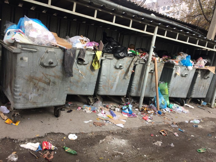 «Выносят отходы и оставляют на дороге». Санитарная инспекция Бишкека оштрафовала нарушителей