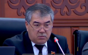 Депутат Сулайманов возмутился, что замминистра экономики отвечает на вопросы не на государственном языке