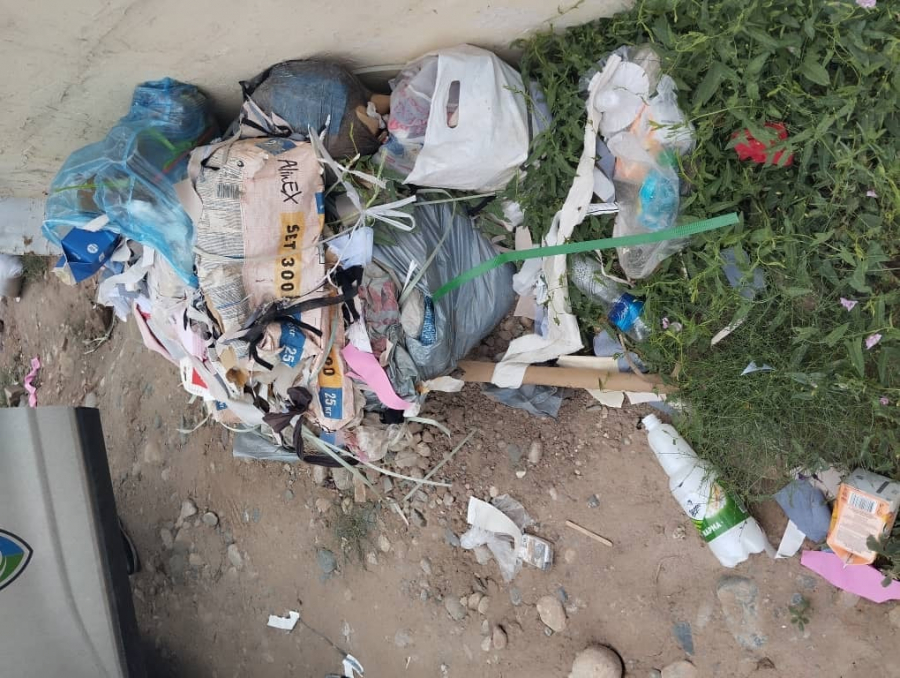 Бишкекчан оштрафовали на 1,3 млн сомов за выброс мусора в неположенных местах