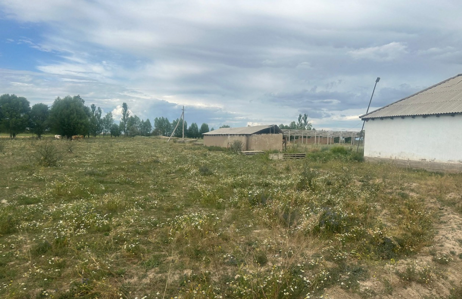 Кыргызстанец, подделав документы, заполучил на Иссык-Куле 1,43 га земли