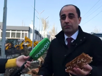 Вырубка тополей в "Аламедин-1": жители говорят о крепких деревьях, мэрия - что почти все сгнило