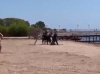 Массовая драка на пляже «Радуги» началась из-за того, что мужчина справил нужду вблизи озера