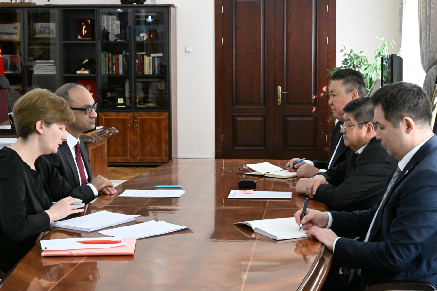 Акылбек Жапаров провел переговоры с главой представительства Всемирного банка в КР