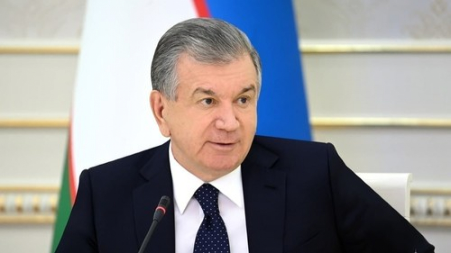 Шавкат Мирзиеев поручил посадить 250 млн деревьев в Узбекистане